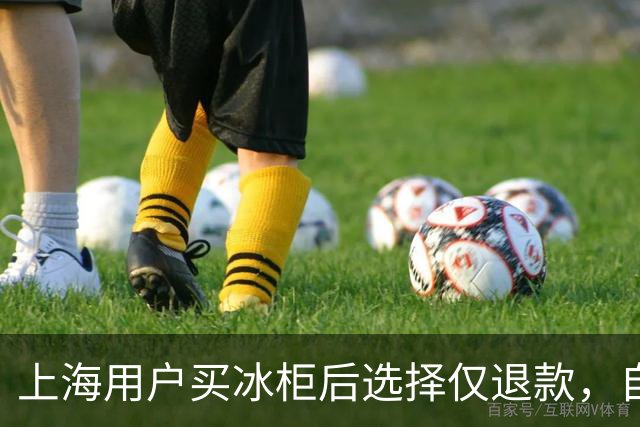 上海用户买冰柜后选择仅退款，自称冰柜"已销毁"无法退货，商家跨省索要后发现冰柜正插电使用，结局亮了