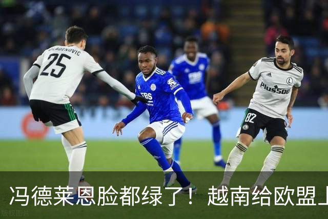 冯德莱恩脸都绿了！越南给欧盟上一课：去中国化？我们离不开中国