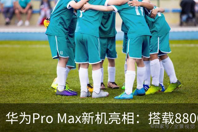 华为Pro Max新机亮相：搭载8800mAh+8000nit+北斗卫星！