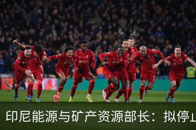 印尼能源与矿产资源部长：拟停止向不尊重印尼的国家供能