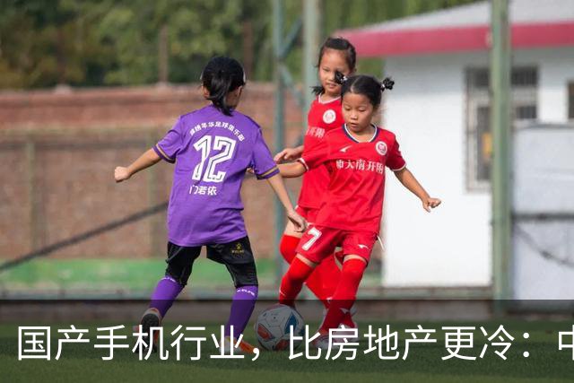 国产手机行业，比房地产更冷：中低端手机涨价，消费者用脚投票