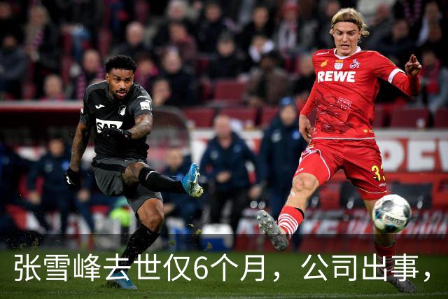 张雪峰去世仅6个月，公司出事，武亮“转移财产”只是冰山一角
