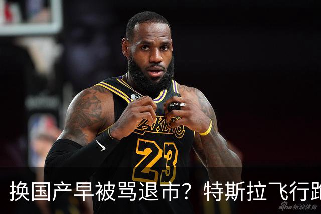 换国产早被骂退市？特斯拉飞行跑车吵翻全网