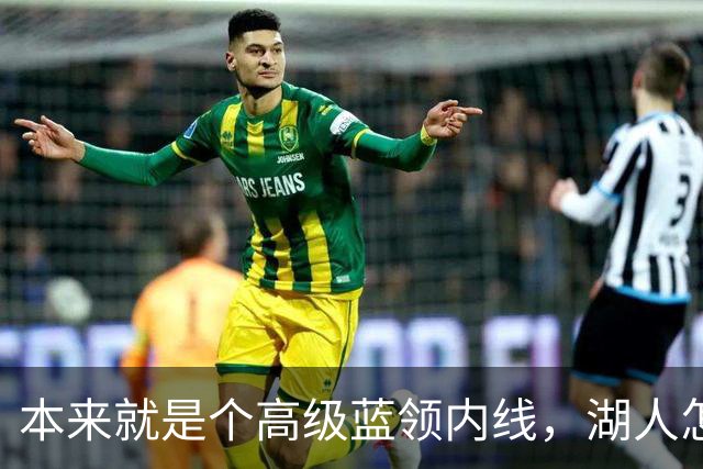 本来就是个高级蓝领内线，湖人怎么能指望他做到面面俱到？