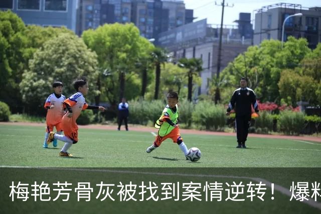 梅艳芳骨灰被找到案情逆转！爆料大佬认了「误信AI」 家属心痛发声