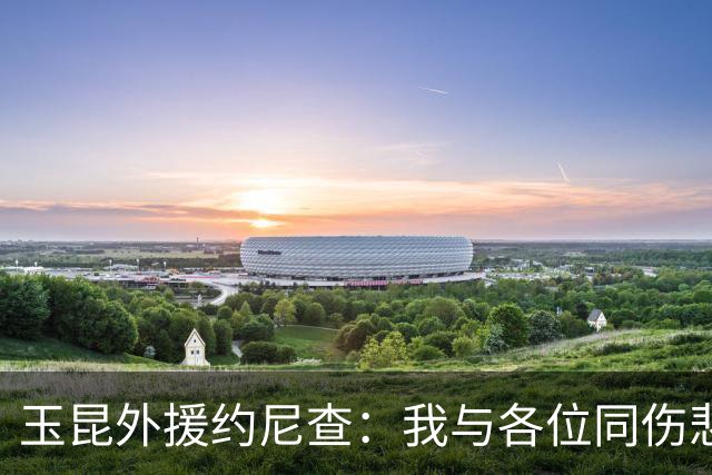 玉昆外援约尼查：我与各位同伤悲，但我仍然希望与大家共进退