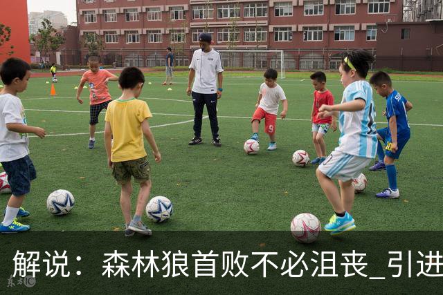 解说：森林狼首败不必沮丧 引进三球释放华子火力的设想已获成功