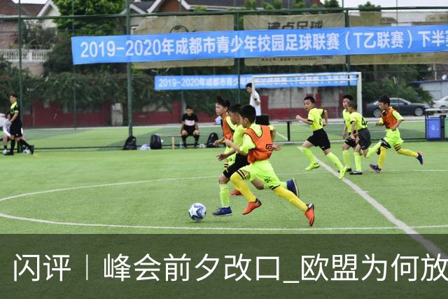 闪评︱峰会前夕改口 欧盟为何放弃加拿大 “联席成员”？